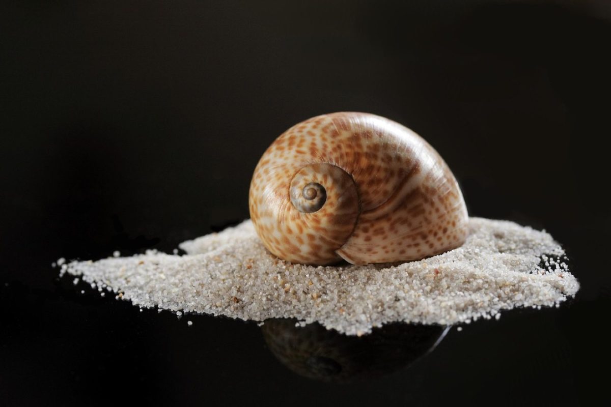 Que faire quand une pompe immergée aspire du sable