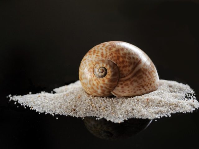 Que faire quand une pompe immergée aspire du sable