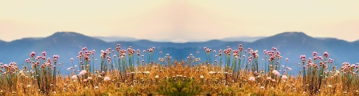 Tête de forage : rôle et composants pour pompe immergée