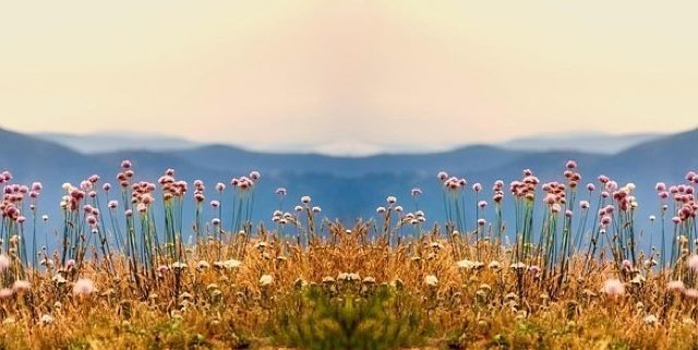 Tête de forage : rôle et composants pour pompe immergée