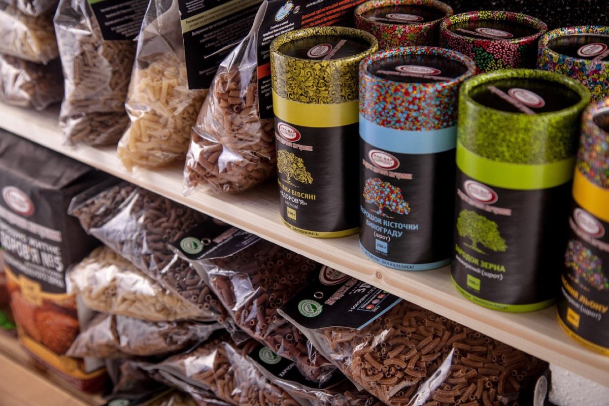 Grundfos ou Pedrollo : quelle pompe immergée choisir ?