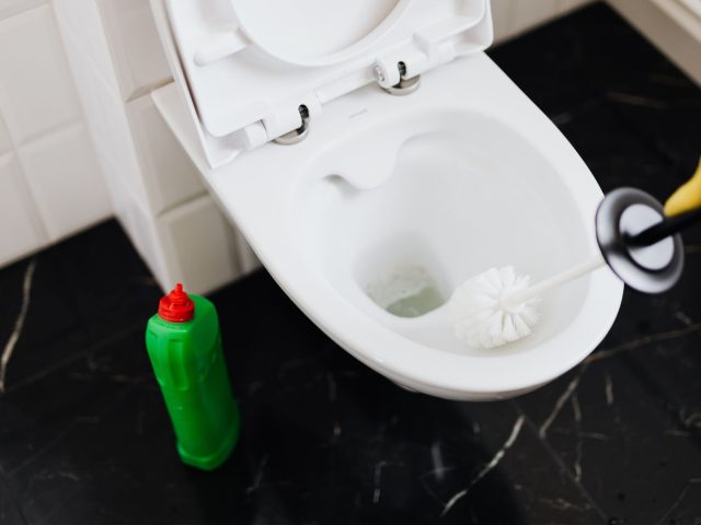 Comment déboucher un WC obstrué par un objet ?